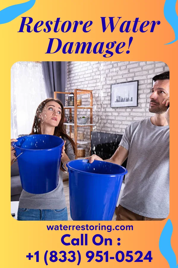 water restoration Superior Damage Recovery Services Holt