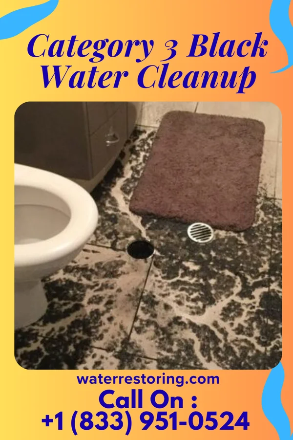 Category 3 Black Water Cleanup in Holt, MO